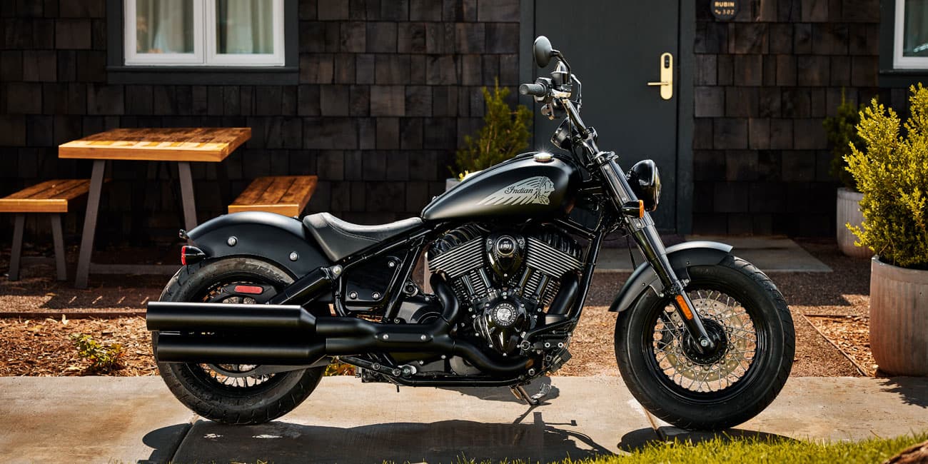 дизајн на старомоден бобер